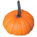 Bumpkin
